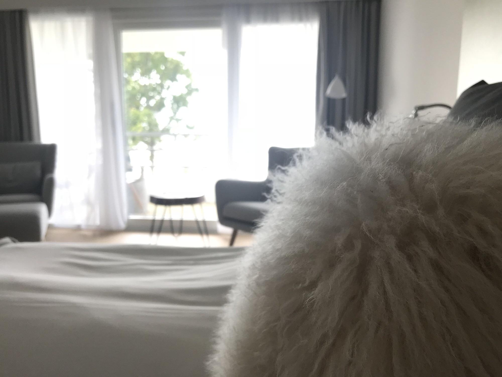 Fredensborg Badehotel Rønne Εξωτερικό φωτογραφία